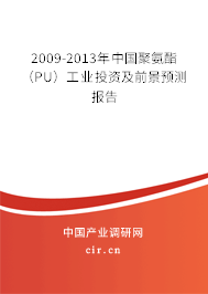 2009-2013年中國聚氨酯（PU）工業(yè)投資及前景預測報告