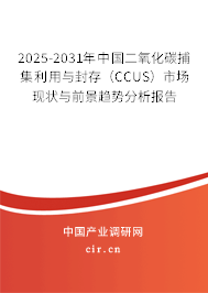 2025-2031年中國二氧化碳捕集利用與封存（CCUS）市場現(xiàn)狀與前景趨勢分析報告