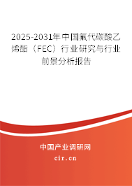 2025-2031年中國氟代碳酸乙烯酯（FEC）行業(yè)研究與行業(yè)前景分析報(bào)告