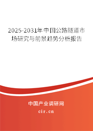 2025-2031年中國(guó)公路隧道市場(chǎng)研究與前景趨勢(shì)分析報(bào)告