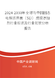 2024-2030年全球與中國固態(tài)電解質(zhì)界面（SEI）成膜添加劑行業(yè)現(xiàn)狀及行業(yè)前景分析報告