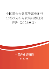 中國(guó)聚合物鋰離子蓄電池行業(yè)現(xiàn)狀分析與發(fā)展前景研究報(bào)告（2025年版）