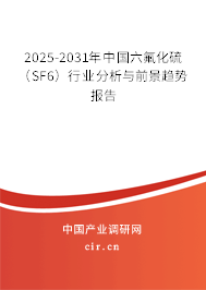 2025-2031年中國(guó)六氟化硫（SF6）行業(yè)分析與前景趨勢(shì)報(bào)告