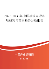 2025-2031年中國模塊電源市場研究與前景趨勢分析報(bào)告