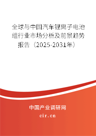 全球與中國(guó)汽車(chē)鋰離子電池組行業(yè)市場(chǎng)分析及前景趨勢(shì)報(bào)告（2025-2031年）
