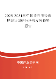 2025-2031年中國柔性陽極市場現(xiàn)狀調(diào)研分析與發(fā)展趨勢報告