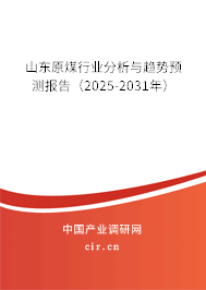 山東原煤行業(yè)分析與趨勢預(yù)測報(bào)告(2025-2031年) 山東原煤行業(yè)分析與趨勢預(yù)測報(bào)告(2025-2031年)