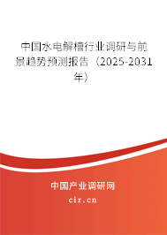 中國水電解槽行業(yè)調(diào)研與前景趨勢預(yù)測報告（2025-2031年）