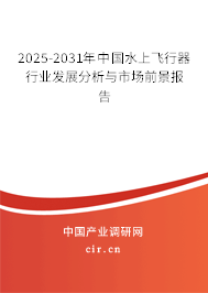 2025-2031年中國(guó)水上飛行器行業(yè)發(fā)展分析與市場(chǎng)前景報(bào)告