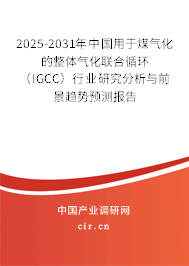 2025-2031年中國用于煤氣化的整體氣化聯(lián)合循環(huán)（IGCC）行業(yè)研究分析與前景趨勢預測報告