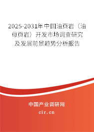 2025-2031年中國油頁巖（油母頁巖）開發(fā)市場調(diào)查研究及發(fā)展前景趨勢分析報告