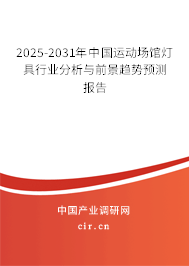 2025-2031年中國運動場館燈具行業(yè)分析與前景趨勢預測報告