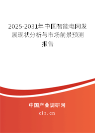 2025-2031年中國智能電網(wǎng)發(fā)展現(xiàn)狀分析與市場前景預(yù)測報告