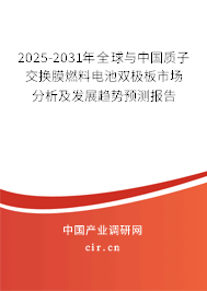 2025-2031年全球與中國質(zhì)子交換膜燃料電池雙極板市場分析及發(fā)展趨勢預(yù)測報告
