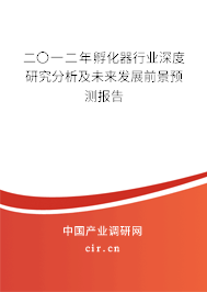 二〇一二年孵化器行業(yè)深度研究分析及未來發(fā)展前景預測報告