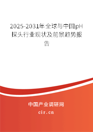 2025-2031年全球與中國pH探頭行業(yè)現(xiàn)狀及前景趨勢報告 2025-2031年全球與中國pH探頭行業(yè)現(xiàn)狀及前景趨勢報告