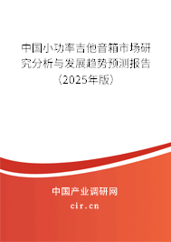 中國(guó)小功率吉他音箱市場(chǎng)研究分析與發(fā)展趨勢(shì)預(yù)測(cè)報(bào)告（2025年版）