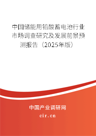 中國(guó)儲(chǔ)能用鉛酸蓄電池行業(yè)市場(chǎng)調(diào)查研究及發(fā)展前景預(yù)測(cè)報(bào)告（2024年版）