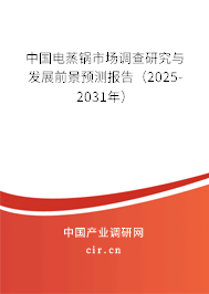 中國(guó)電蒸鍋市場(chǎng)調(diào)查研究與發(fā)展前景預(yù)測(cè)報(bào)告（2025-2031年）