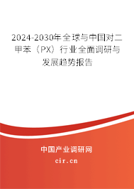2024-2030年全球與中國對二甲苯（PX）行業(yè)全面調(diào)研與發(fā)展趨勢報告