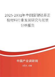 2025-2031年中國富鋰錳基正極材料行業(yè)發(fā)展研究與前景分析報(bào)告