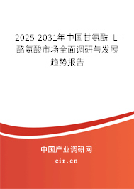 2025-2031年中國甘氨酰-L-酪氨酸市場全面調(diào)研與發(fā)展趨勢報(bào)告