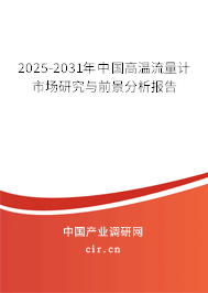 2025-2031年中國高溫流量計(jì)市場研究與前景分析報(bào)告