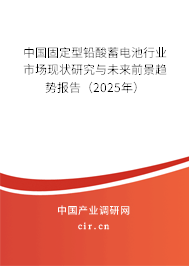 中國固定型鉛酸蓄電池行業(yè)市場現(xiàn)狀研究與未來前景趨勢報(bào)告（2025年）