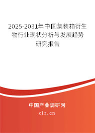 2025-2031年中國集裝箱衍生物行業(yè)現狀分析與發(fā)展趨勢研究報告