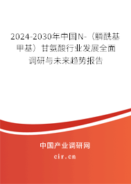 2024-2030年中國(guó)N-（膦酰基甲基）甘氨酸行業(yè)發(fā)展全面調(diào)研與未來(lái)趨勢(shì)報(bào)告
