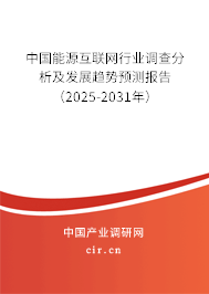 中國能源互聯(lián)網(wǎng)行業(yè)調(diào)查分析及發(fā)展趨勢預(yù)測報(bào)告（2025-2031年）
