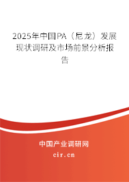 2025年中國PA（尼龍）發(fā)展現(xiàn)狀調研及市場前景分析報告
