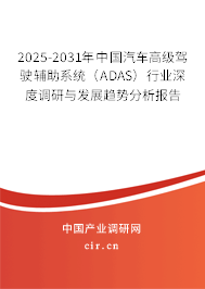 2025-2031年中國汽車高級駕駛輔助系統(tǒng)（ADAS）行業(yè)深度調(diào)研與發(fā)展趨勢分析報(bào)告