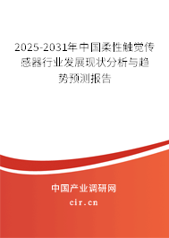 2025-2031年中國柔性觸覺傳感器行業(yè)發(fā)展現(xiàn)狀分析與趨勢預(yù)測報(bào)告
