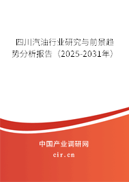四川汽油行業(yè)研究與前景趨勢分析報(bào)告（2025-2031年）