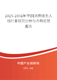 2025-2031年中國消費級無人機行業(yè)研究分析與市場前景報告