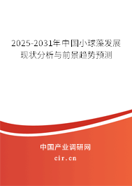 2025-2031年中國(guó)小球藻發(fā)展現(xiàn)狀分析與前景趨勢(shì)預(yù)測(cè)