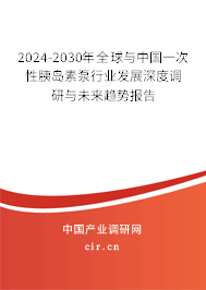 2024-2030年全球與中國一次性胰島素泵行業(yè)發(fā)展深度調(diào)研與未來趨勢報告 2024-2030年全球與中國一次性胰島素泵行業(yè)發(fā)展深度調(diào)研與未來趨勢報告