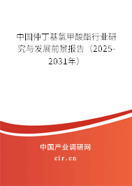 中國仲丁基氯甲酸酯行業(yè)研究與發(fā)展前景報(bào)告（2025-2031年）