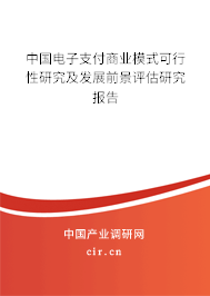 中國(guó)電子支付商業(yè)模式可行性研究及發(fā)展前景評(píng)估研究報(bào)告