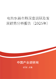 電熱水器市場(chǎng)深度調(diào)研及發(fā)展趨勢(shì)分析報(bào)告（2025年）