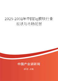 2025-2031年中國3g模塊行業(yè)現(xiàn)狀與市場前景 2025-2031年中國3g模塊行業(yè)現(xiàn)狀與市場前景