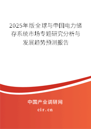 2025年版全球與中國電力儲存系統(tǒng)市場專題研究分析與發(fā)展趨勢預測報告