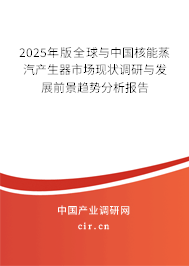 2024年版全球與中國核能蒸汽產(chǎn)生器市場現(xiàn)狀調(diào)研與發(fā)展前景趨勢分析報告