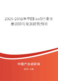 2025-2031年中國IaaS行業(yè)全面調(diào)研與發(fā)展趨勢(shì)預(yù)測(cè) 2025-2031年中國IaaS行業(yè)全面調(diào)研與發(fā)展趨勢(shì)預(yù)測(cè)