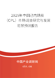 2025年中國己內(nèi)酰胺（CPL）市場調(diào)查研究與發(fā)展前景預(yù)測報(bào)告