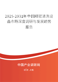 2025-2031年中國精密清洗設(shè)備市場深度調(diào)研與發(fā)展趨勢報告