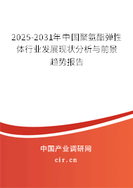 2025-2031年中國聚氨酯彈性體行業(yè)發(fā)展現(xiàn)狀分析與前景趨勢報告