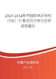 2025-2031年中國聚苯并咪唑（PBI）行業(yè)研究分析與前景趨勢報告