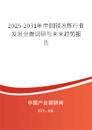 2025-2031年中國鎂冶煉行業(yè)發(fā)展全面調(diào)研與未來趨勢報告